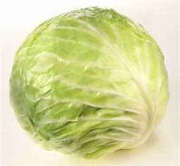 CUT CABBAGE