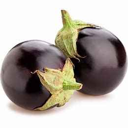 ROUND EGGPLANT