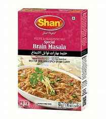 SHAN BRAIN MSL