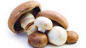 MUSHROOM WHOLE