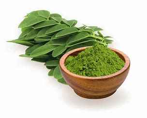 MORINGA