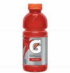 GATORADE FRUIT PUNCH 