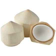 FRESH YOUNG COCONUT