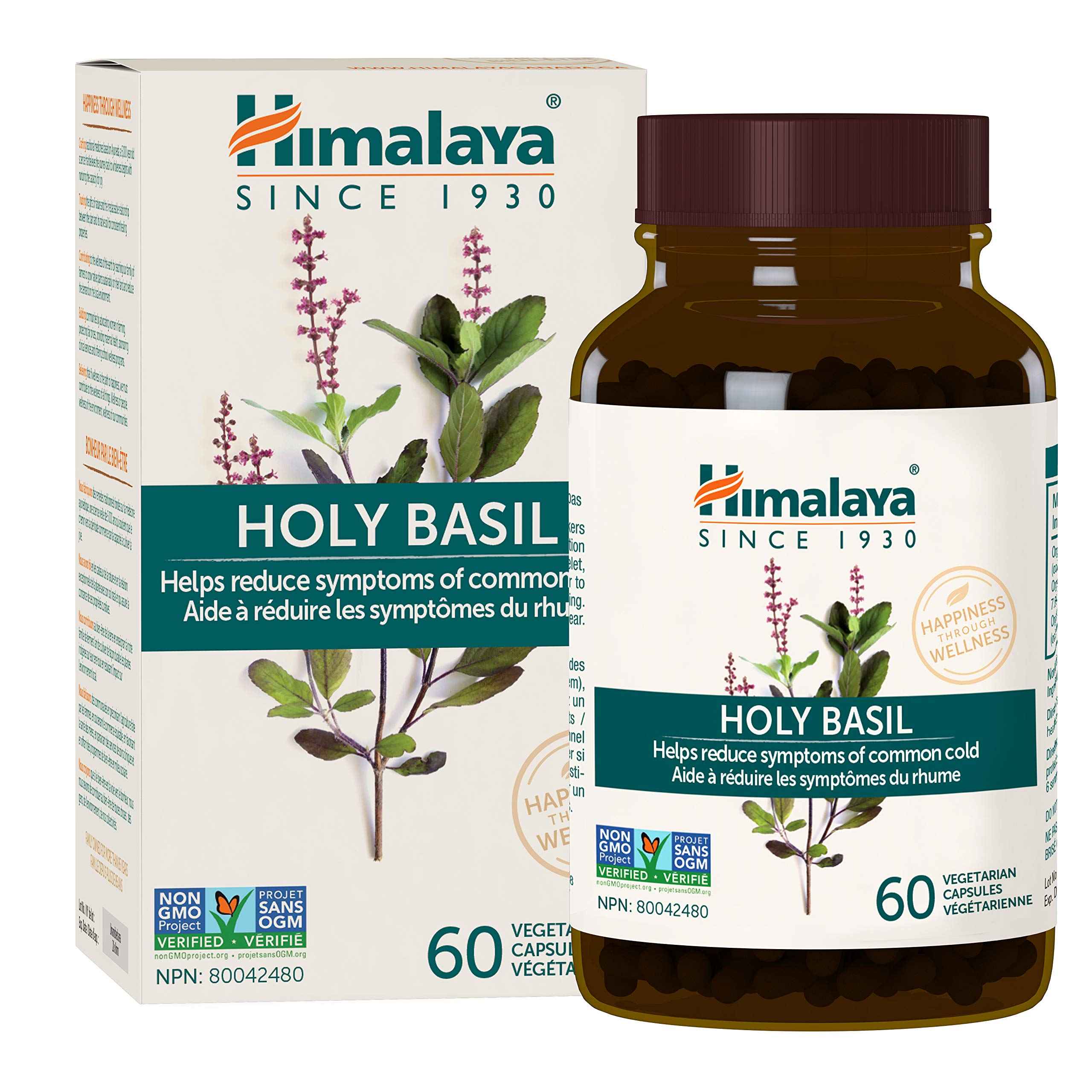 HIMLYA HOLI BASIL