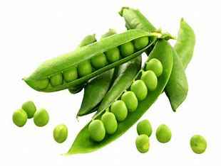 Fresh Green Peas