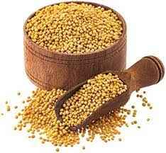 DEEP YELLOW MUSTARD SEEDS 