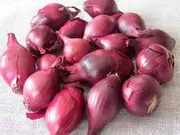 PEARL ONION