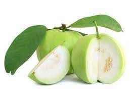 GUAVA