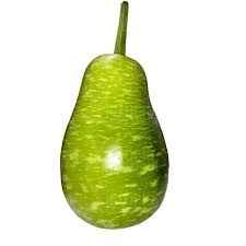 SQUASH BENGALI
