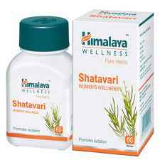 HIMALAYA SHTAVARI
