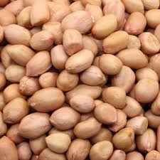 MEHARBAN PEANUTS