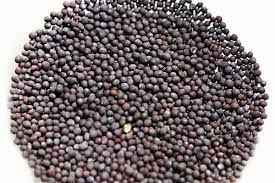 DEEP MUSTARD SEED
