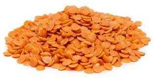 Organic Red Lentils