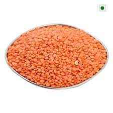 Masoor 