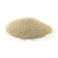 Yeast