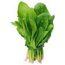 SPINACH BUNCH