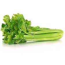 CELERY BUNCH