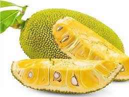 JACKFRUIT