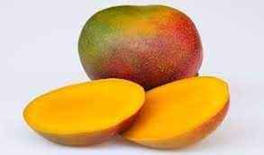 MANGO KENT/ HEDAN