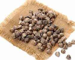 Drumstick Seeds