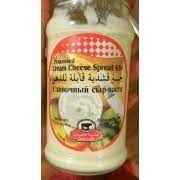CREAM CHEESE SPREAD 65+