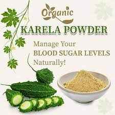 Organic Karela Powder
