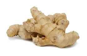 GINGER