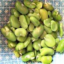 Rezaeyeh Kitchen Broad Beans Double Peeled