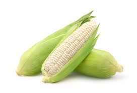 CORN WHITE