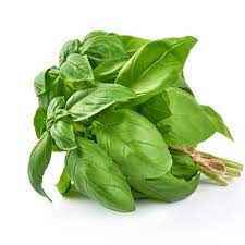 BASIL