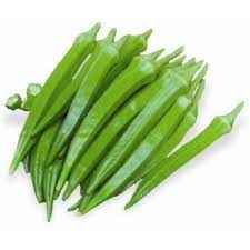 OKRA INDIAN