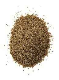 DEEP AJMAN SEEDS