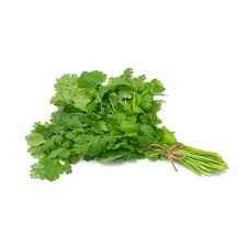 BOX CILANTRO