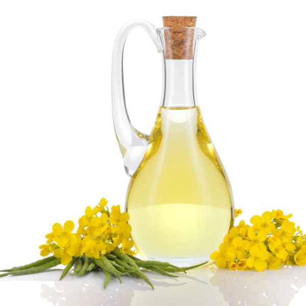 CANOLA OIL