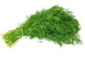 Dill Weed