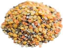 LX MIXED DAL