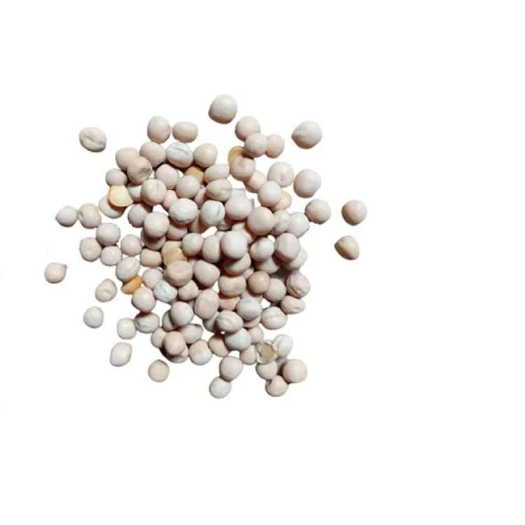 Radhey White Soya Bean