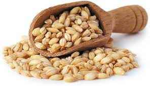 KESHAV WHOLE WHEAT