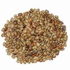 HL Horse Gram 
