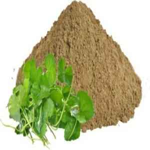 Vedic Brahmi Powder
