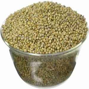 Ankur Pearl Millet
