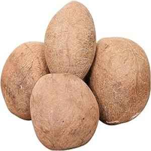 Gazab Coconuts Whole
