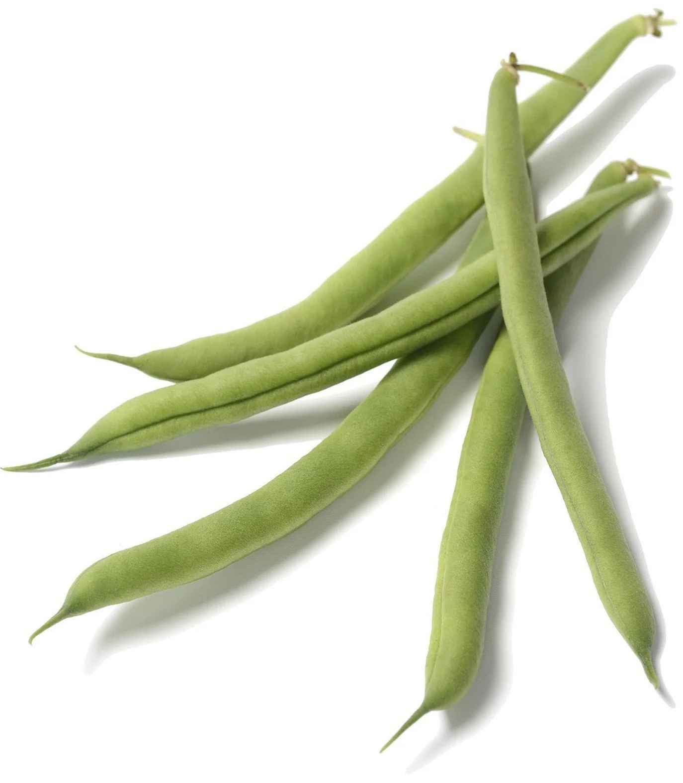 BEANS POLE