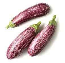 EGGPLANT GRAFFITTI