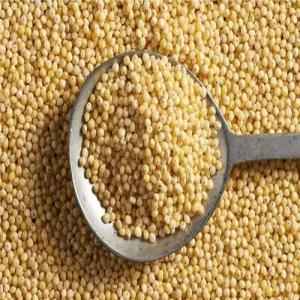 Ankur Little Millet