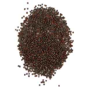 LAXMI MUSTARD SEEDS