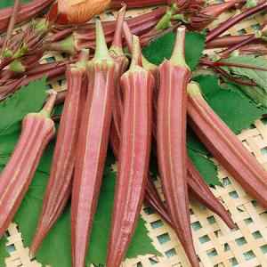 RAINBOW FARFAR OKRA MIX