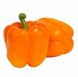 BELL PEPPER ORANGE