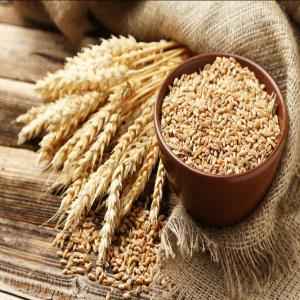 Ankur Wheat Fine