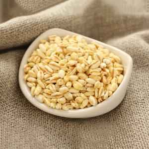 Gazab Haleem Wheat